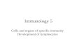 Immunology 5 Cells and organs of specific immunity Development of lymphocytes.