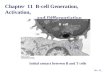 Chapter 11 B-cell Generation, Activation, and Differentiation Initial contact between B and T cells Dec 19, 2006 B cell T cell.