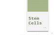 S.V.  What are Stem Cells?  Classification of Stem Cells  Current Uses of Stem Cells  Legal Restrictions  Induced Pluripotent Stem Cells  Therapeutic.