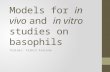 Models for in vivo and in vitro studies on basophils Trainer: Franco Falcone.