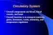 Circulatory System Overall components are blood, blood vessels, and heart Overall function is to transport nutrients, gases, hormones, waste, immunity,