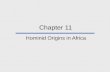 Chapter 11 Hominid Origins in Africa. Chapter Outline The Bipedal Adaptation Early Hominids from Africa (Pre- Australopithecus Finds) Australopithecus/Paranthropus.