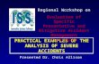 PRACTICAL EXAMPLES OF THE ANALYSIS OF SEVERE ACCIDENTS Presented Dr. Chris Allison Regional Workshop on Evaluation of Specific Preventative and Mitigative.