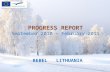 PROGRESS REPORT September 2010 – February 2011 REBEL LITHUANIA.