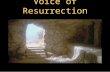 Voice of Resurrection. JOHN 11 25 Jesus said unto her, I am the resurrection, and the life: he that believeth in me, though he were dead, yet shall he.