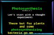 Photosynthesis (Moti Nissani, Lec. 3) Let ’ s start with a thought experiment: There but for plants and some photosynthesizing bacteria go we...