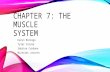 CHAPTER 7: THE MUSCLE SYSTEM Karyn Borrego Tyler Correa Sabrina Cardona Nicholas Jacinto.
