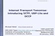 Uni Innsbruck Informatik - 1 Internet Transport Tomorrow: Introducing SCTP, UDP-Lite and DCCP Michael Welzl  DPS NSG Team .