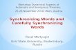 Synchronizing Words and Carefully Synchronizing Words Pavel Martyugin Ural State University, Ekaterinburg, Russia Workshop Dynamical Aspects of Automata.