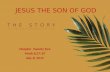 JESUS THE SON OF GOD Chapter Twenty five Mark 8:27-29 July 8, 2012.