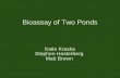 Bioassay of Two Ponds Katie Kraska Stephen Hesterberg Matt Brown.