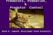 Predators, Predation, & Predator Control Bruce D. Leopold, Mississippi State University.