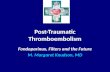 Post-Traumatic Thromboembolism Fondaparinux, Filters and the Future M. Margaret Knudson, MD.