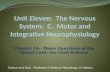 Chapter 54: Motor Functions of the Spinal Cord; the Cord Reflexes Guyton and Hall, Textbook of Medical Physiology, 12 edition.