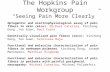 The Hopkins Pain Workgroup “Seeing Pain More Clearly” Optogentic and electrophysiological assay of pain fibers in skin (mice): Michael Caterina, Xinzhong.