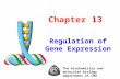 Chapter 13 Regulation of Gene Expression The biochemistry and molecular biology department of CMU.