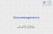 Gluconeogenesis Dr. Sooad Al-Daihan Biochemistry department.