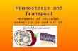 Homeostasis and Transport Movement of cellular materials in and out of the cell.