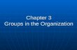 Chapter 3 Groups in the Organization. 1. Foundations of Group Behavior (1) differentiate between formal and informal groups (1) differentiate between.