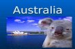 Australia. Introduction Australia is the sixth largest in the world. Australia is in Southern hemisphere. Canberra is the capital of Australia. Australia.