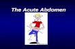 The Acute Abdomen The Acute Abdomen. Outline Definitions What causes an “acute abdomen” Differential Diagnosis History and physical Labs Diagnostic imaging.