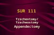 SUR 111 Tracheotomy/Tracheostomy Appendectomy. Tracheotomy Tracheostomy.