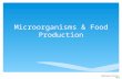 Microorganisms & Food Production Noadswood Science, 2012.