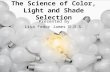 The Science of Color, Light and Shade Selection Presented by Lisa Fedor James D.D.S.