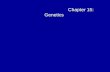 Chapter 15: Genetics. Chromosome Theory of Inheritance The chromosome theory of inheritance states: –Mendelian genes have specific loci (positions) on.