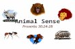 Animal Sense Proverbs 30:24-28. 2 Sheep and wolves Snakes and doves Matt. 10:16 Sheep and wolves Snakes and doves Matt. 10:16 Jesus Used Animals to Teach.