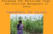 Escaping the Pesticide Trap: Non-Pesticide Management in India Ingredients for Success.