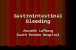 Gastrointestinal Bleeding Jarrett Lefberg South Pointe Hospital.