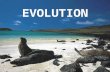EVOLUTION. Jean Baptiste de Lamarck (1809) – He developed a theory of evolution. He related fossils to living animals based on similar appearance. He.