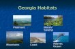 Georgia Habitats PiedmontMarsh/Swamp MountainsCoast Atlantic Ocean.