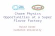 Charm Physics Opportunities at a Super Flavor Factory David Asner Carleton University.