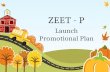 ZEET - P Launch Promotional Plan. Product attributes Composition Desloratadine.......2.5mg Ambroxol............30mg Guaiphenesin.......50mg Menthol…………1.