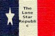 The Lone Star Republic. Houston Forms a Government (1836) Sam Houston was elected as the first president of Texas and Mirabeau Lamar as the vice president.