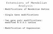 Extensions of Mendelian Analysis Modifications of Mendelian Ratios Single Gene modifications Two gene pair modifications: modified 9:3:3:1 ratios Modification.