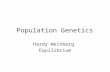 Population Genetics Hardy Weinberg Equilibrium. 6.1 Mendelian Genetics in Populations: The Hardy-Weinberg Equilibrium Principle.