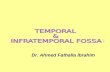 Dr. Ahmed Fathalla Ibrahim. TEMPORAL FOSSA INFRATEMPORAL FOSSA.