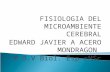 FISIOLOGIA DEL MICROAMBIENTE CEREBRAL EDWARD JAVIER A ACERO MONDRAGON M.D.V Biol. Esp cMSc.