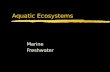 Aquatic Ecosystems Marine Freshwater Worlds Aquatic Ecosystems.