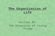 The Organization of Life Section #3: The Diversity of Living Things.