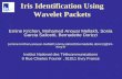 1 Iris Identification Using Wavelet Packets Emine Krichen, Mohamed Anouar Mellakh, Sonia Garcia Salicetti, Bernadette Dorizzi {emine.krichen,anouar-mellakh;sonia.salicetti;bernadette.dorizzi}@int-