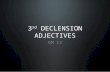 3 rd DECLENSION ADJECTIVES GM 13. Introduction Three groups of 3 rd declension adjectives Paradigm Examples of use Textbook Content.