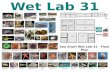 31-5 31-6 31-10 31-12 31-11 31-9 31-8 31-7 31-4C 31-4B 31-4A 31-4D 31-13 31-14 31-2 31-3 Sea Grant Wet Lab 31 - Floor Plan Stag Horn Sculpin – Leptocottus.
