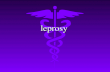 Leprosy. definition ： A chronic infectious disease caused by mycobacterium leprae, With neurologic and cutaneous lesions.