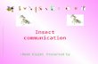 Insect communication Reem Alajmi Presented by :. - Introduction - Types of insect communication - Visual communication. - Visual communication. - Chemical