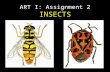 ART I: Assignment 2 INSECTS. What shapes do you see? What lines do you see? What patterns do you see? Are the insects symmetrical or asymmetrical?