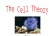 Hairy T-cell. Definition = Three part theory about cells 1. All living things are made of cells.